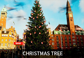 Guangdong Modern High-tech Fiber Co., Ltd ,MODERNS PP Microfiber, Microfiber PPD TY moderns,PP profiled yarn,PP intermingled FDY,PP twisted yarn,Differential Fiber PP yarn,PP fine denier yarn,PP fine denier DTY yarn